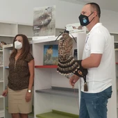 La biblioteca de Benejúzar habilita un espacio dedicado a las aves y la cetrería para conocer mejor esta actividad La biblioteca de Benejúzar habilita un espacio dedicado a las aves y la cetrería para conocer mejor esta actividad