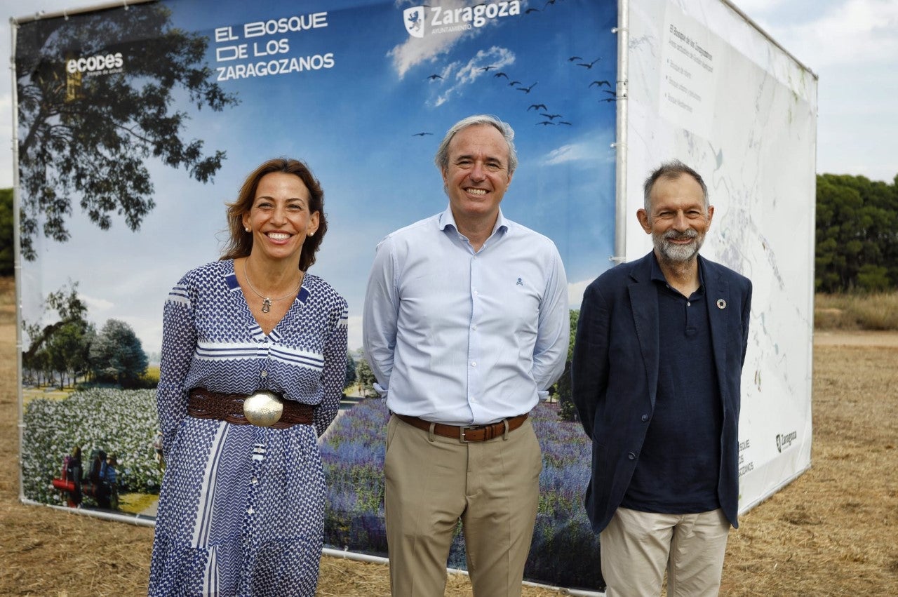 Primeros trabajos en el futuro Bosque de los Zaragozanos Primeros trabajos en el futuro Bosque de los Zaragozanos