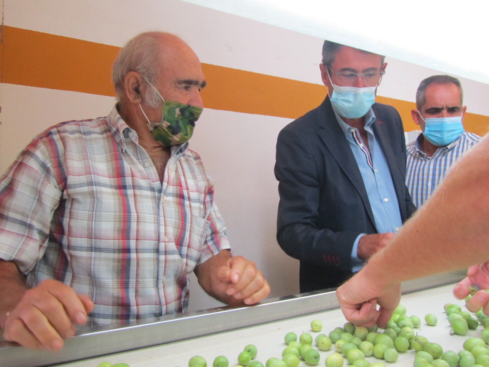 La Gastronomía en Onda Cero. Patrocinado por Sabor a Málaga, el sabor que nos une. Marca promocional de la Diputación de Málaga La Gastronomía en Onda Cero. Patrocinado por Sabor a Málaga, el sabor que nos une. Marca promocional de la Diputación de Málaga