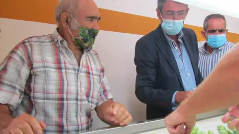 Campaña Aceituna Aloreña Gastronomia