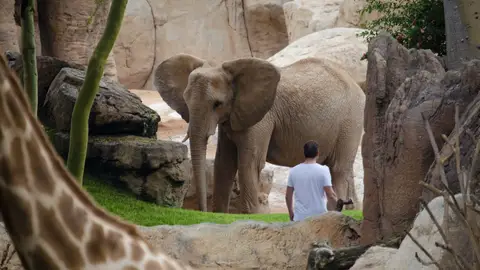 BIOPARC BIOPARC