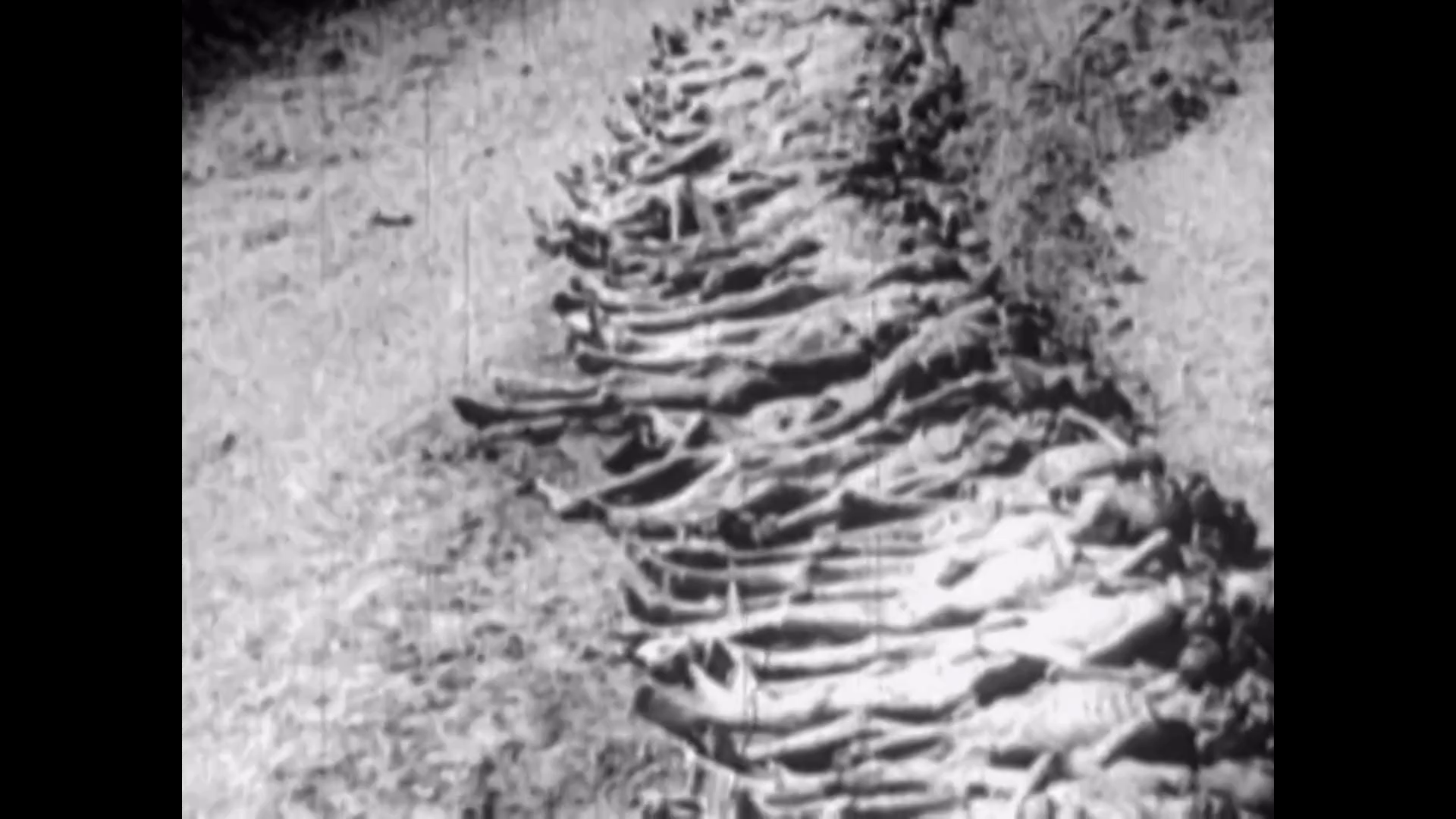 Los españoles que murieron en los campos de concentración
