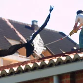 Rescate de un buitre Rescate de un buitre