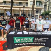 AnimaNaturalis convoca una movilización en Alicante para reclamar un 'ley justa de protección animal'