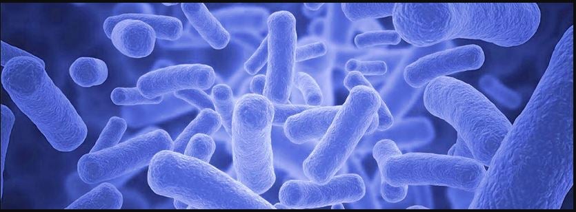 Las pruebas de la tuberculosis en cabras son fiables, aseguran desde la Junta de Comunidades de Castilla-La Mancha Las pruebas de la tuberculosis en cabras son fiables, aseguran desde la Junta de Comunidades de Castilla-La Mancha