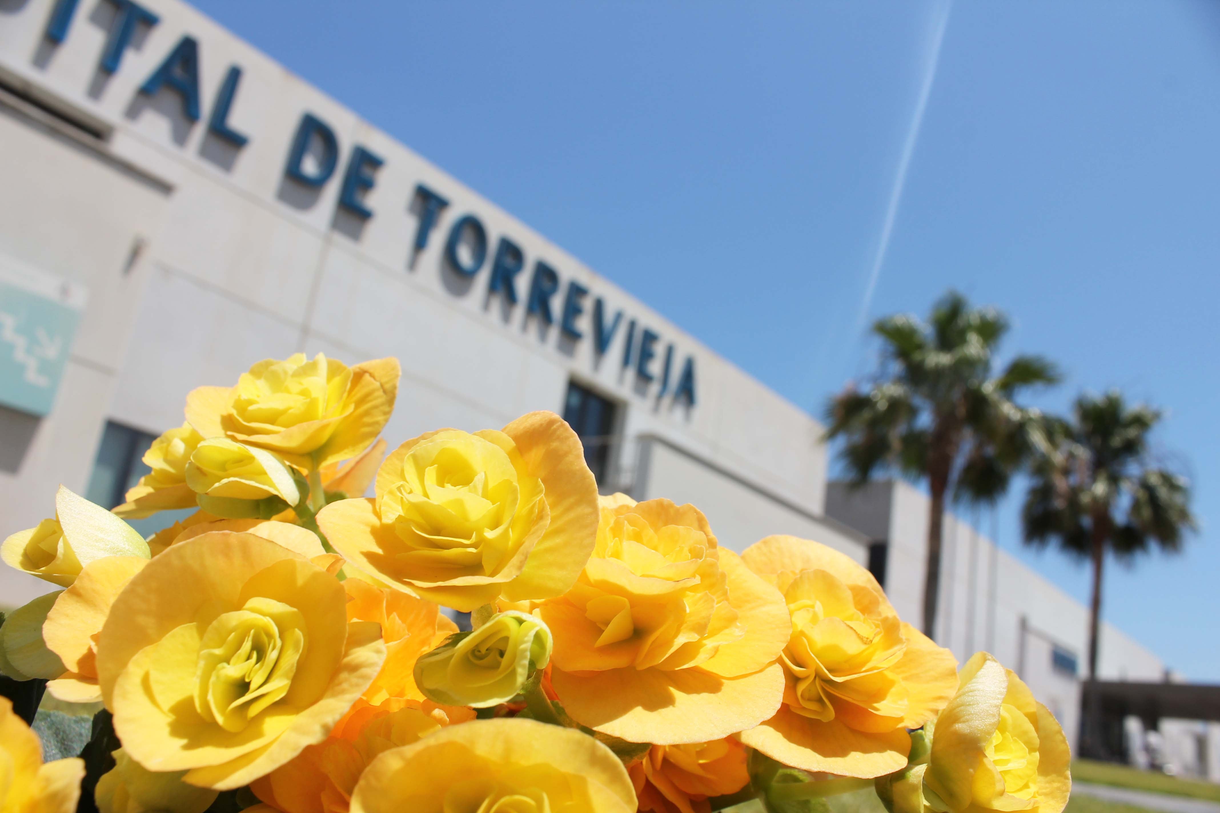 Torrevieja, hospital de la provincia de Alicante más comprometido en la lucha contra el cambio climático Torrevieja, hospital de la provincia de Alicante más comprometido en la lucha contra el cambio climático