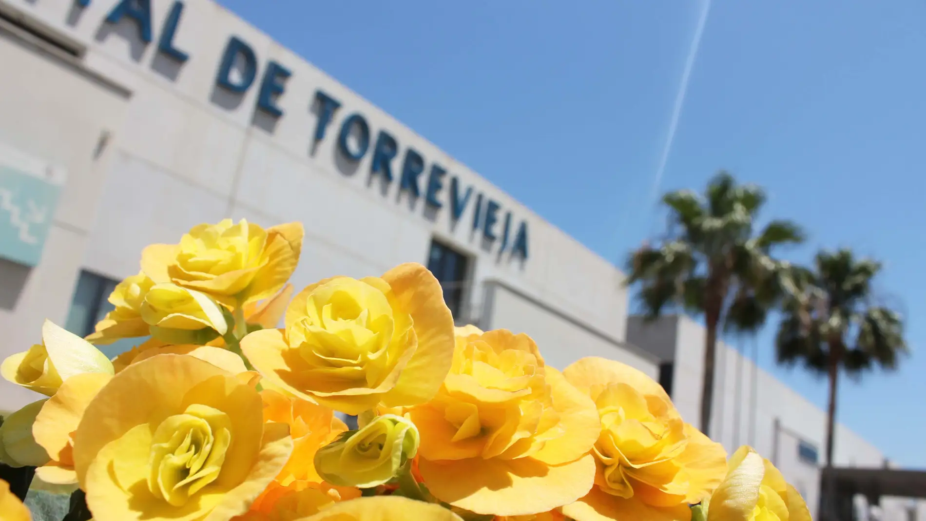 Torrevieja, hospital de la provincia de Alicante más comprometido en la lucha contra el cambio climático 