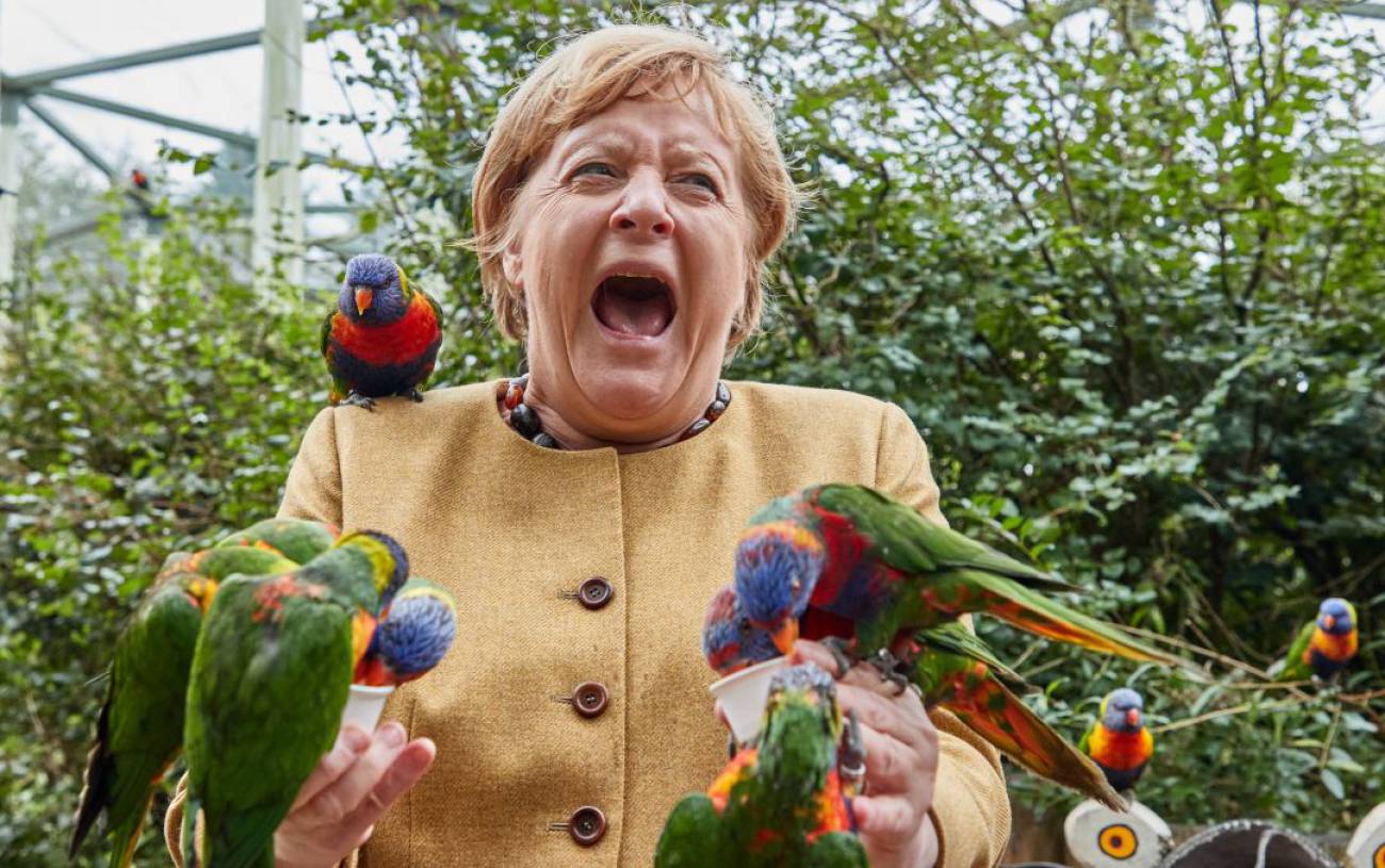 El cómico momento de Angela Merkel rodeada y mordida por unos loros El cómico momento de Angela Merkel rodeada y mordida por unos loros