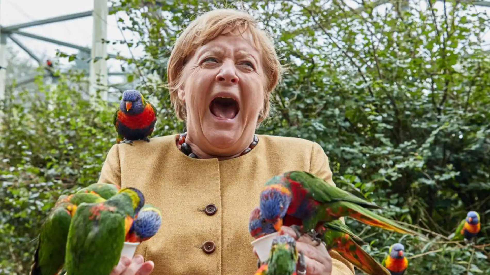 El cómico momento de Angela Merkel rodeada y mordida por unos loros 