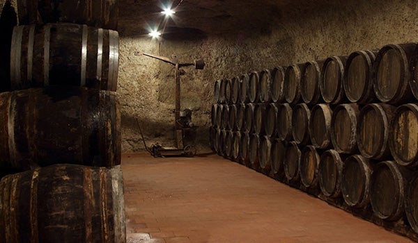 La Ruta del Vino de Valdepeñas presenta sus recursos a operadores turísticos La Ruta del Vino de Valdepeñas presenta sus recursos a operadores turísticos