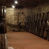 Imagen bodega asociada Ruta de Vino de Valdepeñas Imagen bodega asociada Ruta de Vino de Valdepeñas