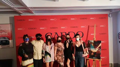 Cardo Cardo