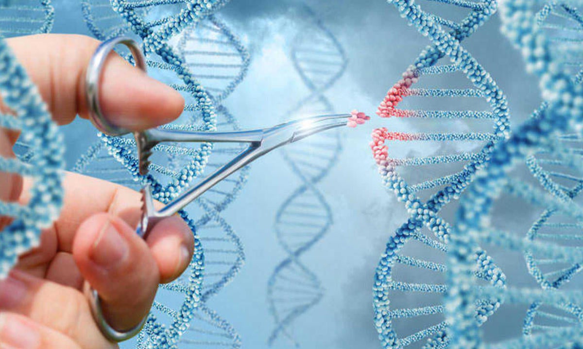 objetivo seguir impulsando los proyectos e investigaciones que buscan ayudar en la lucha contra el cáncer objetivo seguir impulsando los proyectos e investigaciones que buscan ayudar en la lucha contra el cáncer