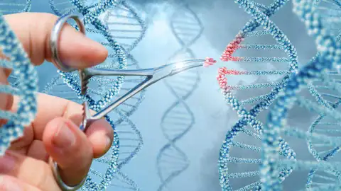 objetivo seguir impulsando los proyectos e investigaciones que buscan ayudar en la lucha contra el cáncer dia internacional