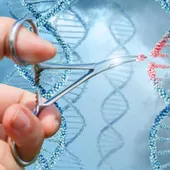 objetivo seguir impulsando los proyectos e investigaciones que buscan ayudar en la lucha contra el cáncer objetivo seguir impulsando los proyectos e investigaciones que buscan ayudar en la lucha contra el cáncer