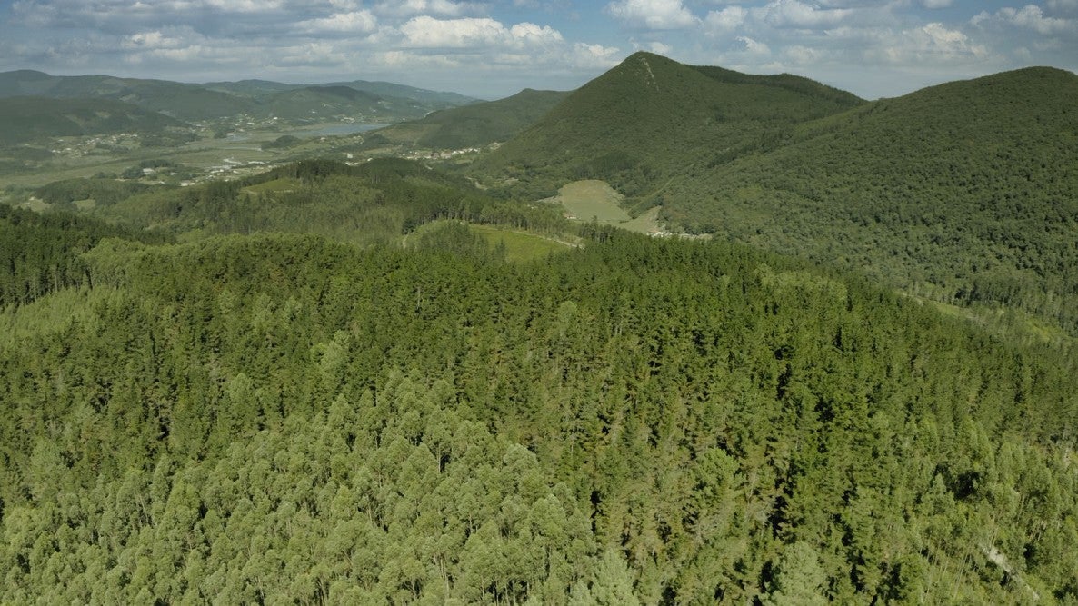 La réplica del Bosque de Oma se ubicará en una parcela contigua al enclave original La réplica del Bosque de Oma se ubicará en una parcela contigua al enclave original