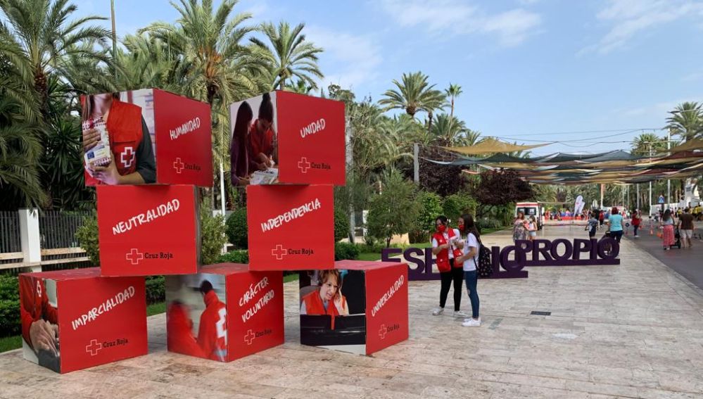Celebración de Cruz Roja del Día Internacional de la Juventud 2021 en Elche.