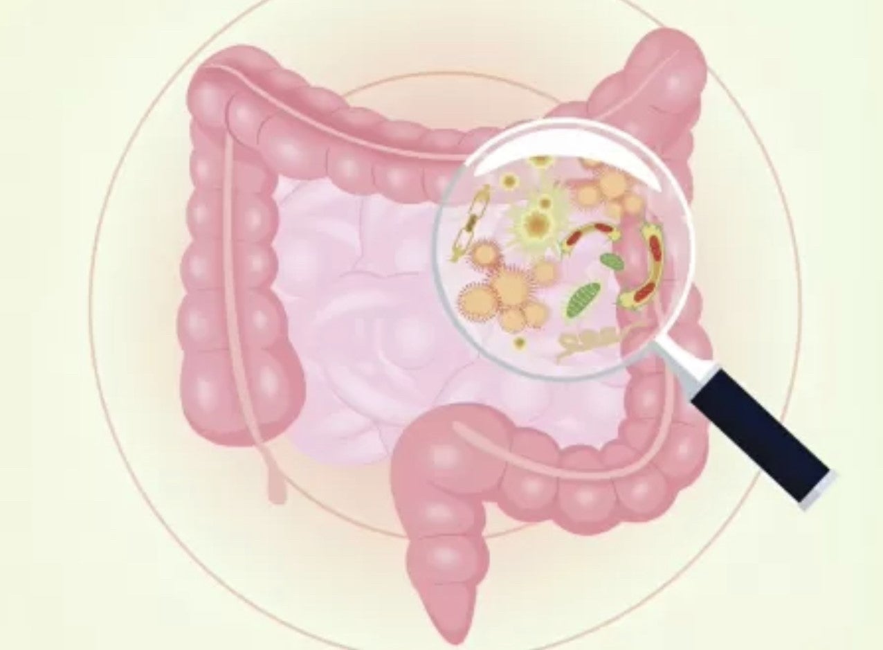 La Farmacia en Casa 07/11/2024 La Farmacia en Casa 07/11/2024