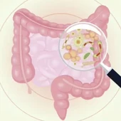 Microbiota Microbiota