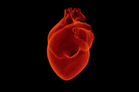 No te olvides del corazón: El 13% de los españoles padece hipertensión como enfermedad crónica No te olvides del corazón: El 13% de los españoles padece hipertensión como enfermedad crónica