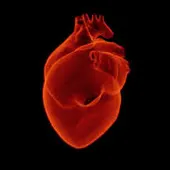 No te olvides del corazón: El 13% de los españoles padece hipertensión como enfermedad crónica No te olvides del corazón: El 13% de los españoles padece hipertensión como enfermedad crónica