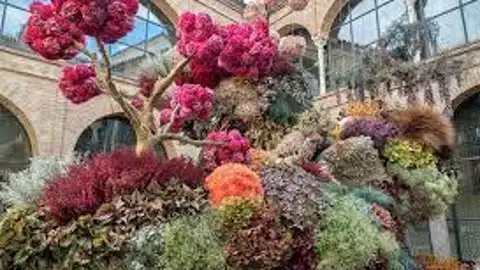 Festival Flora Festival Flora