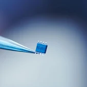 Microchips Microchips