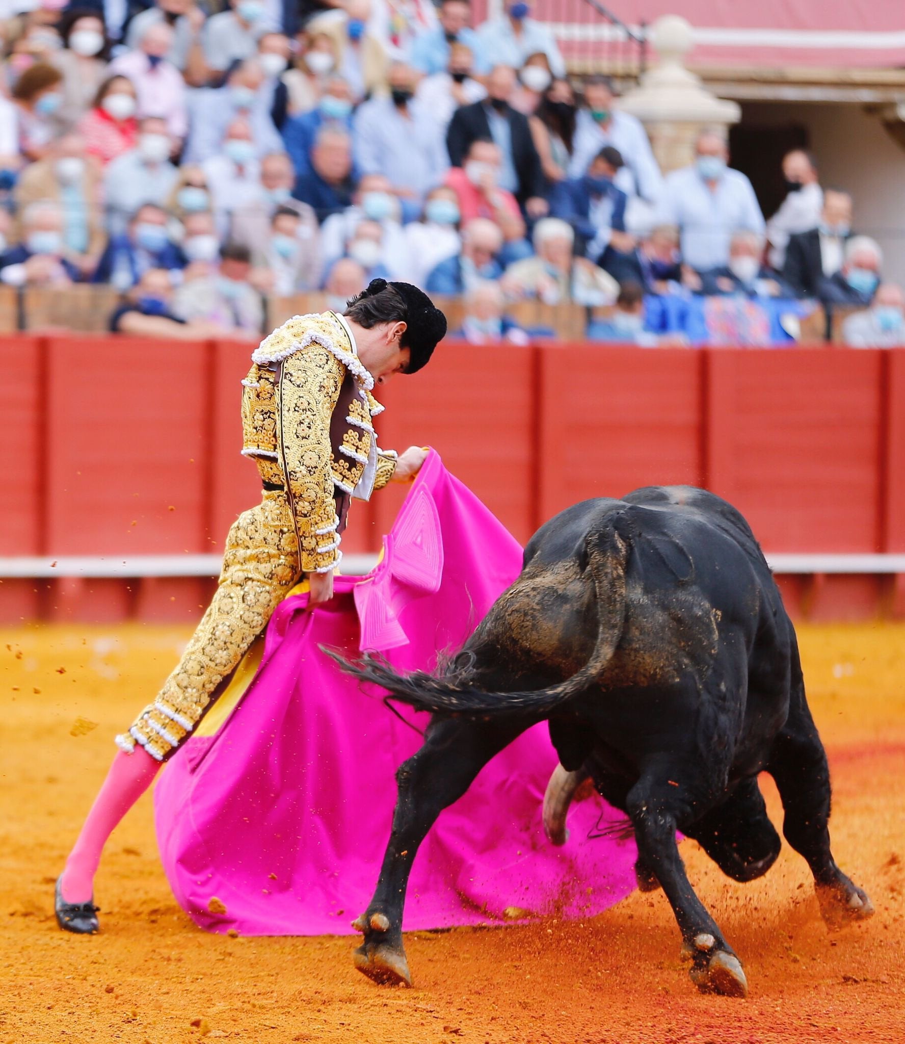 Onda Ruedo 4x03| Juan Ortega: "Cuesta mucho trabajo y da mucho miedo" Onda Ruedo 4x03| Juan Ortega: "Cuesta mucho trabajo y da mucho miedo"