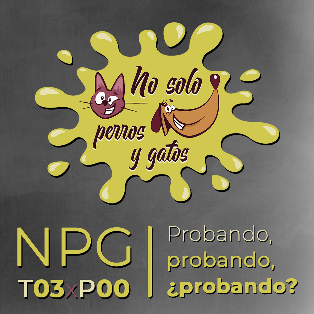 No Solo Perros y Gatos T03xE00: Probando, probando, ¿probando? No Solo Perros y Gatos T03xE00: Probando, probando, ¿probando?