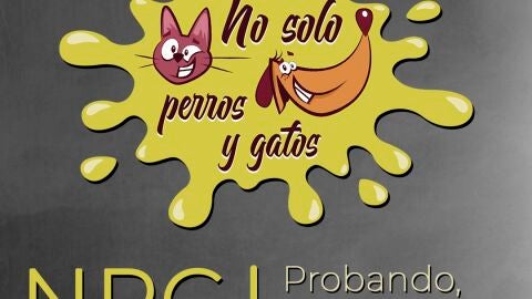 No Solo Perros y Gatos T03xP00