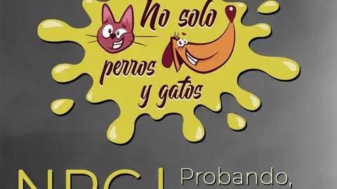 No Solo Perros y Gatos T03xP00 No Solo Perros y Gatos T03xP00