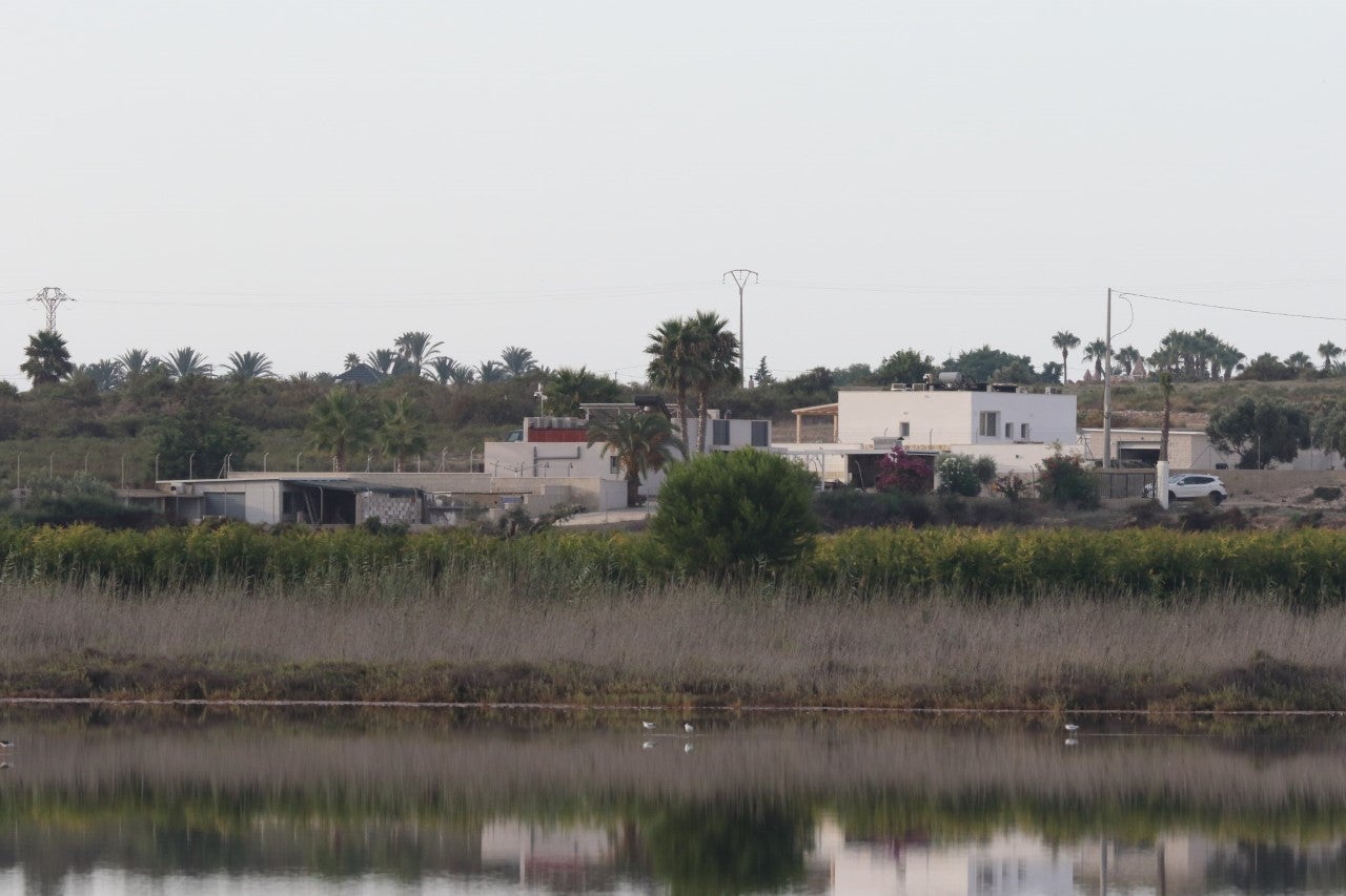 Amigos de los Humedales del Sur denuncia la creación de viviendas en la zona de amortiguación de las Salinas de Santa Pola Amigos de los Humedales del Sur denuncia la creación de viviendas en la zona de amortiguación de las Salinas de Santa Pola