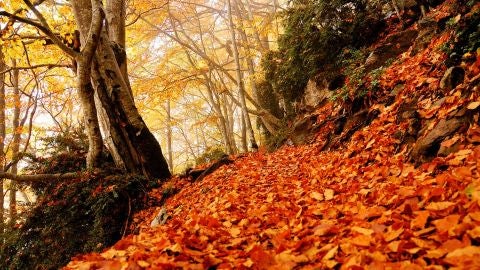 Parque Nacional de Ordesa en otoño