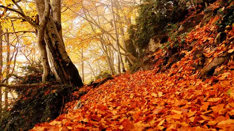 Parque Nacional de Ordesa en otoño Parque Nacional de Ordesa en otoño