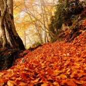 Parque Nacional de Ordesa en otoño