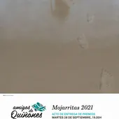 Cartel de la edición de este año Cartel de la edición de este año