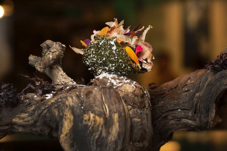 El Nola Gras se lleva el Concurso de Tapas con su 'Umami Marino' El Nola Gras se lleva el Concurso de Tapas con su 'Umami Marino'