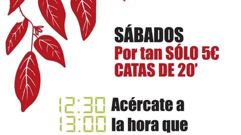 Cata Montes Norte Cata Montes Norte