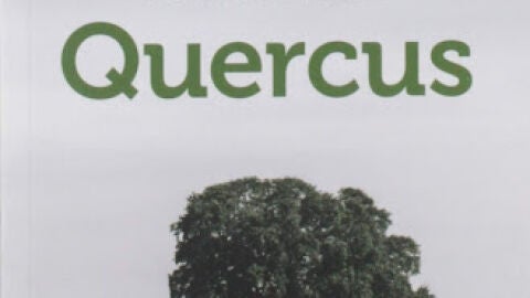 Quercus de Rafael Cabanillas