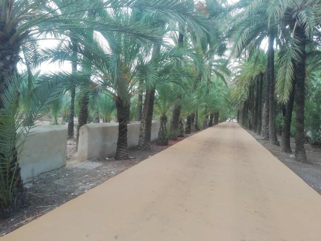El viento de poniente dispara los termómetros a los 30 grados este jueves en Elche, Crevillent y Santa Pola El viento de poniente dispara los termómetros a los 30 grados este jueves en Elche, Crevillent y Santa Pola
