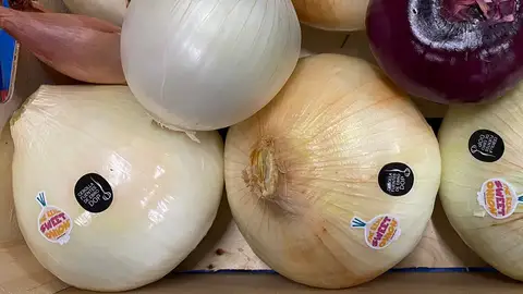 Cebollas Jumosol Cebollas Jumosol