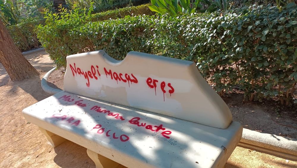 Pintadas aparecidas en el parque Doctor Calatayud de Aspe. 