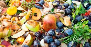 En Europa se desperdicia casi el 20% de la alimentación que se produce, de media mas de 70Kg por persona y año En Europa se desperdicia casi el 20% de la alimentación que se produce, de media mas de 70Kg por persona y año