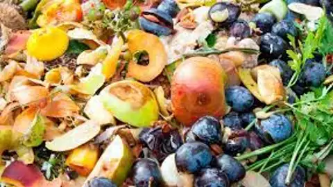 En Europa, el desperdicio de 88 millones de toneladas de alimentos al año supone la emisión de 170 toneladas de CO2 En Europa, el desperdicio de 88 millones de toneladas de alimentos al año supone la emisión de 170 toneladas de CO2