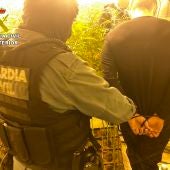 La Guardia Civil desmantela una plantación de marihuana en Olías del Rey