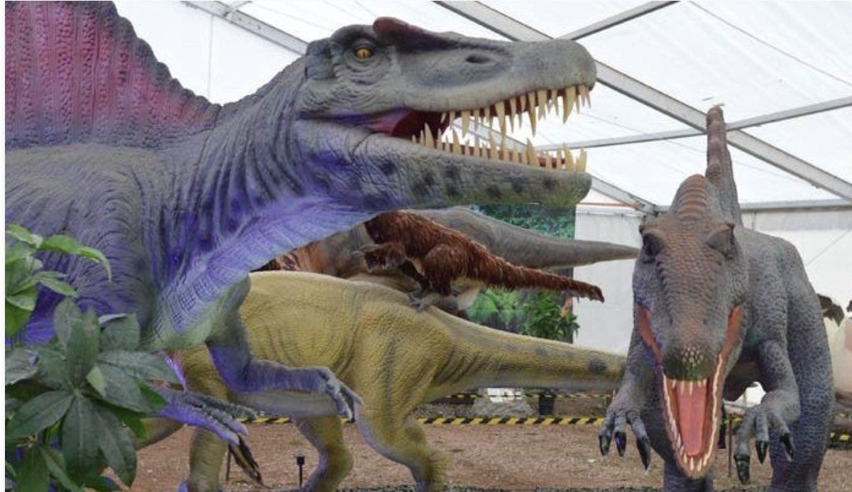 IFA acoge los días 1,2 y 3 de octubre Dinosaurs Tour, la exposición de dinosaurios animatrónicos más realista IFA acoge los días 1,2 y 3 de octubre Dinosaurs Tour, la exposición de dinosaurios animatrónicos más realista