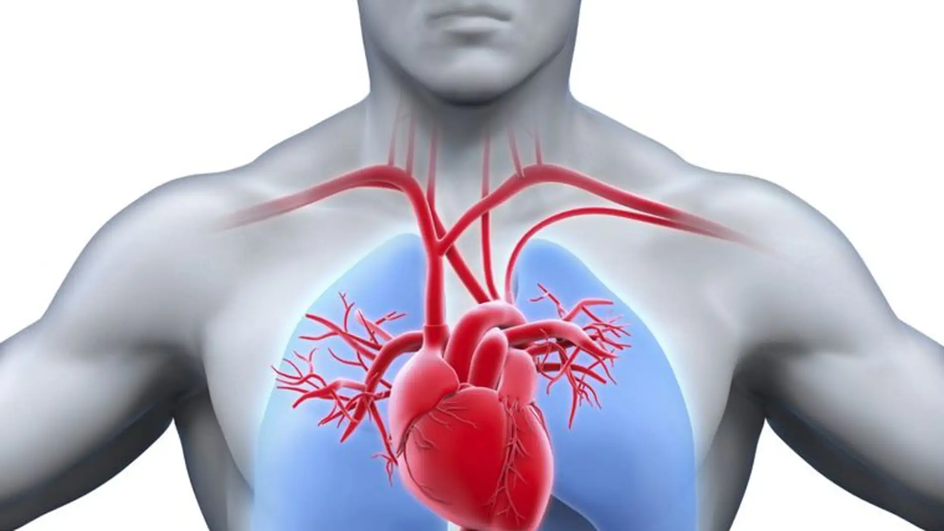 Infartos de miocardio y accidentes cerebrovasculares se cobran más de 17 millones de vidas al año    