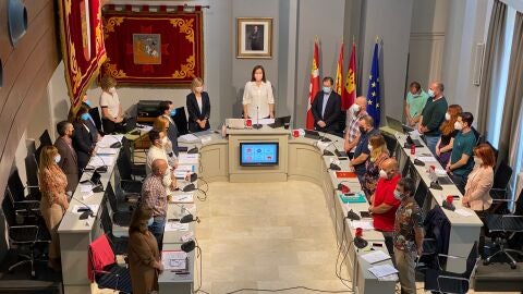 Pleno Alc&aacute;zar