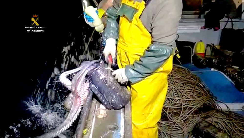 Efectivos de la Guardia Civil en Cantabria
