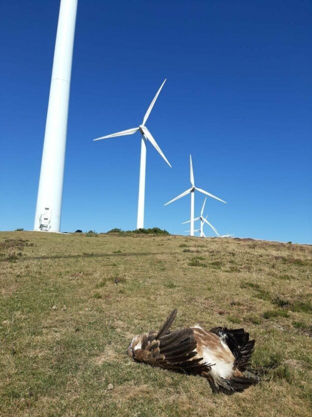 La Unión del Pueblo Leonés anuncia la presentación de alegaciones contra el macroparque eólico “Abano”  La Unión del Pueblo Leonés anuncia la presentación de alegaciones contra el macroparque eólico “Abano”